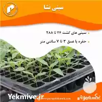 فروش سینی نشا سینی کشت در تهران در گروه خرید و فروش نشا در یکمیوه