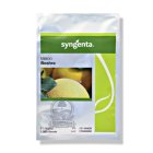 بذر خربزه گالیا بشرا سینجنتا در اهواز در گروه خرید و فروش بذر خربزه در یکمیوه