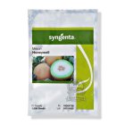 بذر خربزه گالیا هانیول سینجنتا در اهواز در گروه خرید و فروش بذر خربزه در یکمیوه