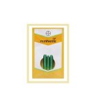 بذر خیار تالسیا عددی نانهمز فروش در اهواز در گروه خرید و فروش بذر خیار در یکمیوه