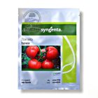 بذر گوجه گلخانه ای ازمیر سینجنتا در گروه خرید و فروش بذر گوجه در یکمیوه