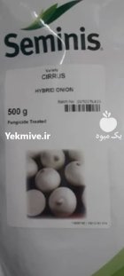 خریدار بذر پیاز در کرمان