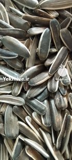 فروش لوبیا محصولات کشاورزی بدون واسطه از کشاورز در گروه خرید و فروش غلات و حبوبات در یکمیوه