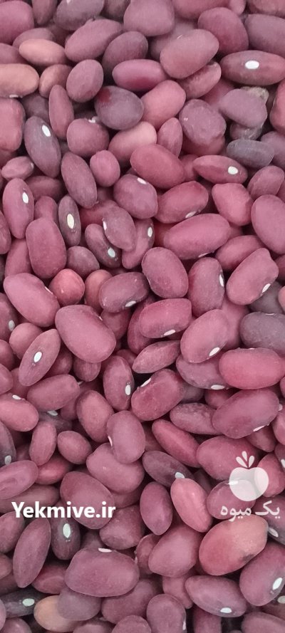 فروش لوبیا محصولات کشاورزی بدون واسطه از کشاورز در گروه خرید و فروش غلات و حبوبات در یکمیوه -عکس2