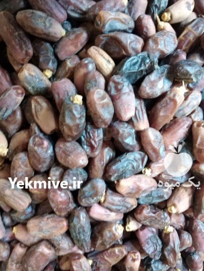 خرمای ديري و برحی در اهواز در گروه خرید و فروش خرما در یکمیوه -عکس2