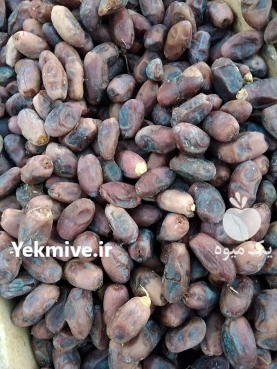 خرمای ديري و برحی در اهواز در گروه خرید و فروش خرما در یکمیوه -عکس3