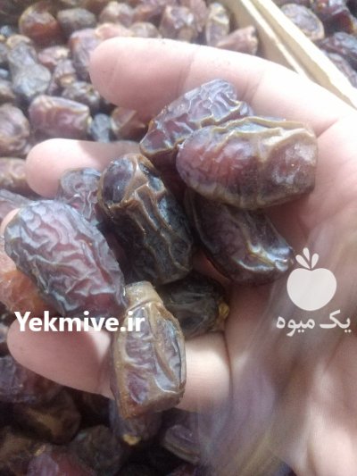 خرمای ديري و برحی در اهواز در گروه خرید و فروش خرما در یکمیوه -عکس4