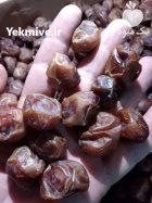 خرمای ديري و برحی در اهواز در گروه خرید و فروش خرما در یکمیوه