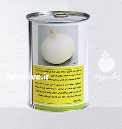 بذر پیاز مینروا فروش ارسال در یاسوج در گروه خرید و فروش بذر پیاز در یکمیوه -عکس1
