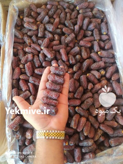 خرما پیارم خرما پیارم در تهران در گروه خرید و فروش خرما در یکمیوه -عکس2
