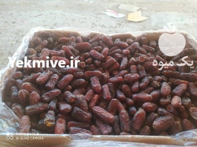 خرما پیارم خرما پیارم در تهران در گروه خرید و فروش خرما در یکمیوه -عکس3