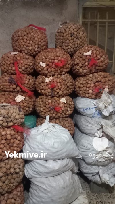 گردو پوست کاغذی فروش گردو در گروه خرید و فروش گردو در یکمیوه -عکس1