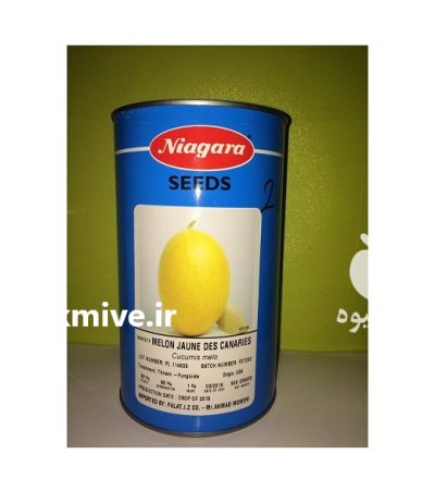 فروش بذر خربزه جوان دس کنری در گروه خرید و فروش بذر خربزه در یکمیوه -عکس1