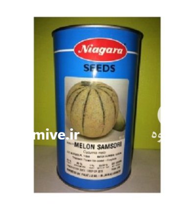 فروش بذر طالبی سمسوری نیاگارا در یاسوج در گروه خرید و فروش بذر طالبی در یکمیوه -عکس1