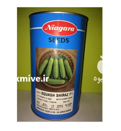 فروش بذر کدو خورشتی هیبرید F 1 در یاسوج در گروه خرید و فروش بذر کدو در یکمیوه -عکس1