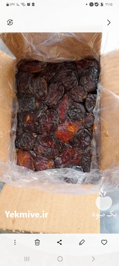 فروش عمده و خرده خرمای کبکاب در گروه خرید و فروش خرما در یکمیوه -عکس1