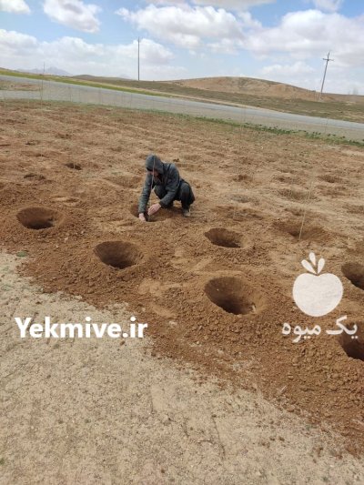 چاله کن پشت تراکتوری خدمات در گروه خرید و فروش چاله کن در یکمیوه -عکس2