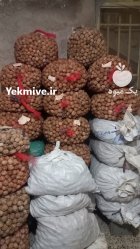 گردو پوست کاغذی فروش گردو در گروه خرید و فروش گردو در یکمیوه