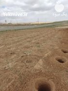 چاله کن پشت تراکتوری خدمات در گروه خرید و فروش چاله کن در یکمیوه