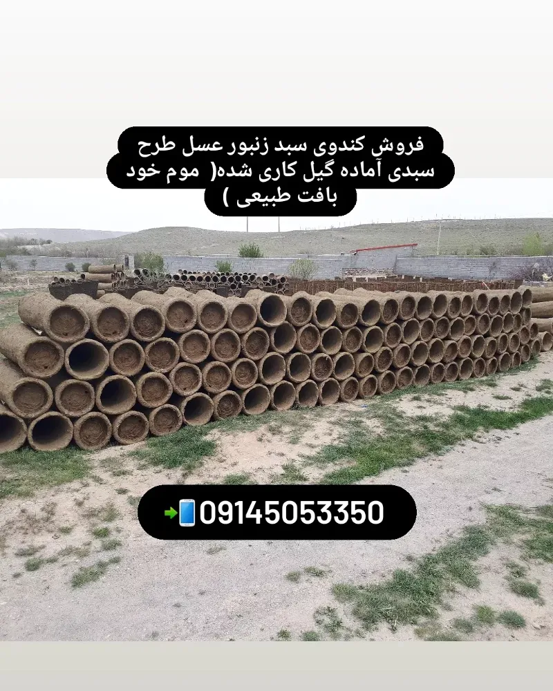 کندو زنبور عسل سبدی در اسکو در گروه خرید و فروش زنبورعسل در یکمیوه -عکس2