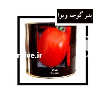 فروش بذر گوجه و یوا Canyon ایتالیا در گروه خرید و فروش بذر گوجه در یکمیوه -عکس1