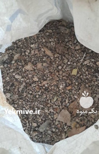 کود کفتر چایی 10 ساله در کرج در گروه خرید و فروش کود کبوتر در یکمیوه -عکس2