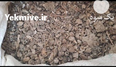 کود کفتر چایی 10 ساله در کرج در گروه خرید و فروش کود کبوتر در یکمیوه -عکس3