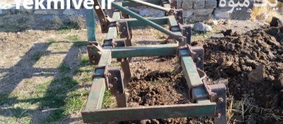 فروش پنجه غازی در نقده در گروه خرید و فروش پنجه غازی در یکمیوه -عکس1