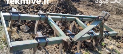 فروش پنجه غازی در نقده در گروه خرید و فروش پنجه غازی در یکمیوه -عکس2