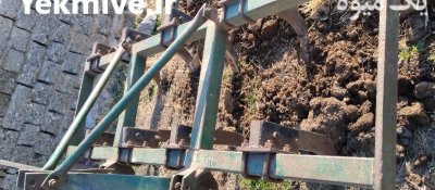 فروش پنجه غازی در نقده در گروه خرید و فروش پنجه غازی در یکمیوه -عکس4