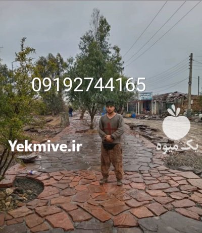 قیمت سنگ ورقه ای دماوند در تجریش در گروه سازنده در یکمیوه -عکس2