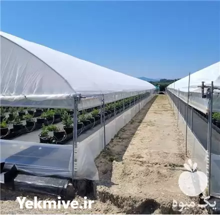 قیمت خرید توری ضدحشره گلخانه اریگونی در تهران در گروه خرید و فروش توری گلخانه در یکمیوه -عکس1