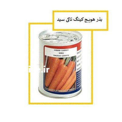 فروش بذر هویج هیبرید کینگ تاکی در یاسوج در گروه خرید و فروش بذر هویج در یکمیوه -عکس1