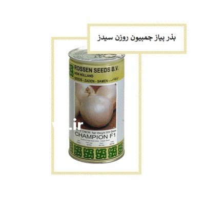 فروش بذر پیاز سفید چمپیون روزن در گروه خرید و فروش بذر پیاز در یکمیوه -عکس1