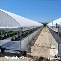 قیمت خرید توری ضدحشره گلخانه اریگونی در تهران در گروه خرید و فروش توری گلخانه در یکمیوه