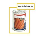 فروش بذر هویج هیبرید کینگ تاکی در یاسوج در گروه خرید و فروش بذر هویج در یکمیوه