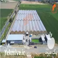ساخت و تجهیز گلخانه در گروه سازنده در یکمیوه