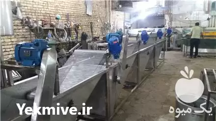 فروش خط شستشوی سبزیجات در گروه خرید و فروش خط تولید در یکمیوه -عکس1