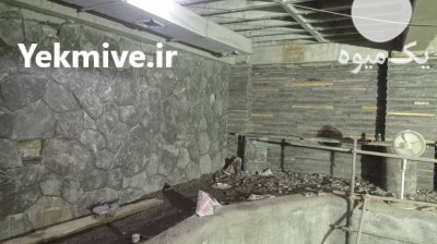 فروش قيمت انواع سنگ لاشه در گروه سازنده در یکمیوه -عکس3