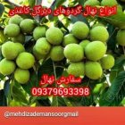 کاشت نهال گردوکانادا یی احداث باغ کوچک در گروه خرید و فروش نهال گردو در یکمیوه
