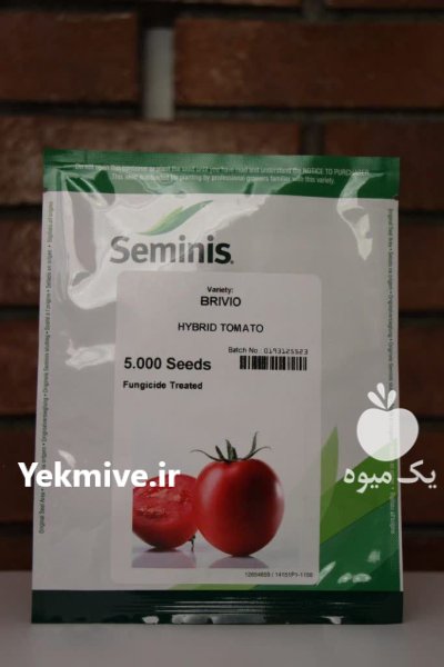 بذر گوجه فرنگی بریویو در شیراز در گروه خرید و فروش بذر گوجه در یکمیوه -عکس1