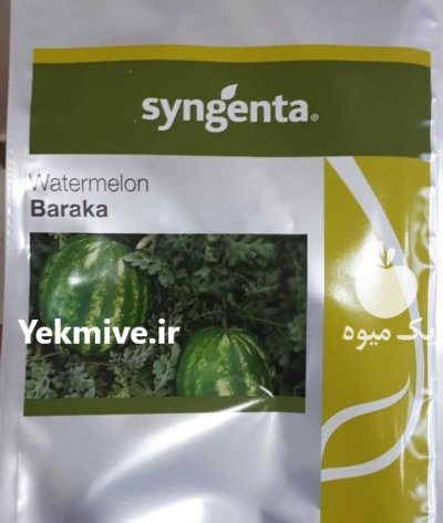 بذر هندوانه باراکا در میناب در گروه خرید و فروش بذر هندوانه در یکمیوه -عکس1