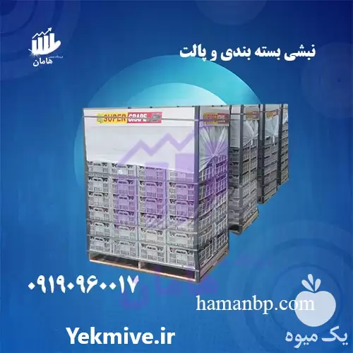 قیمت خرید تولید نبشی پلاستیکی در تبریز در گروه انواع بسته بندی محصول در یکمیوه -عکس1