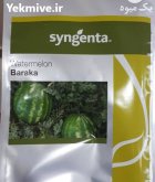 بذر هندوانه باراکا در میناب در گروه خرید و فروش بذر هندوانه در یکمیوه