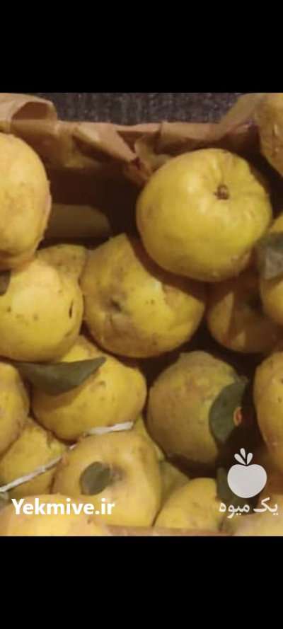 فروش میوه به 50 تن در تبریز در گروه خرید و فروش میوه به در یکمیوه -عکس3