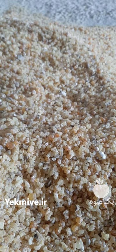 فروش سقز کوهی در اقلید در گروه خرید و فروش گیاهان دارویی در یکمیوه -عکس2