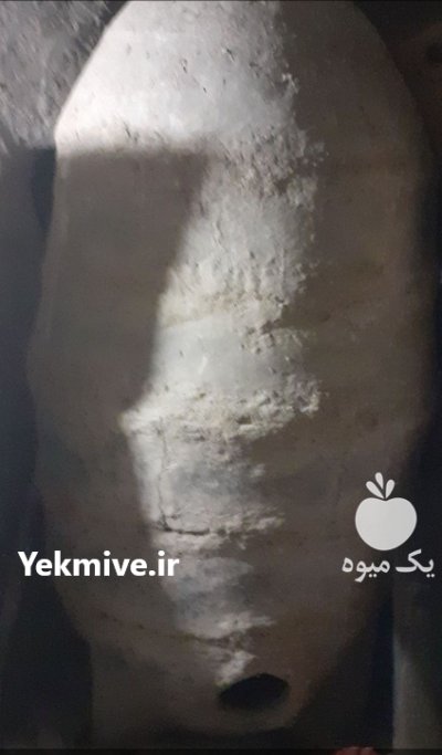 فروش کندو گندم در گروه خرید و فروش زنبورعسل در یکمیوه -عکس1