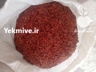 فروش تخمه هندونه درشت پرمغز در گروه خرید و فروش انواع تخمه در یکمیوه -عکس1