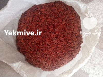 فروش تخمه هندونه درشت پرمغز در گروه خرید و فروش انواع تخمه در یکمیوه -عکس2