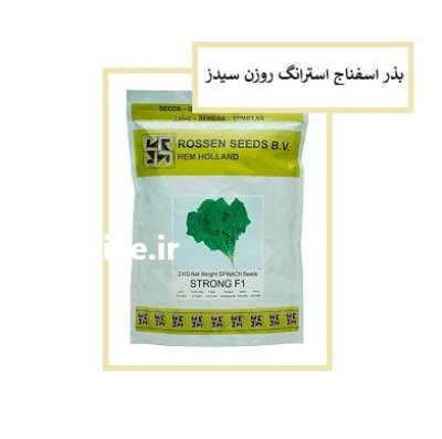 فروش بذر اسفناج استرانگ Rossen Seeds در اهواز در گروه خرید و فروش انواع بذر در یکمیوه -عکس1